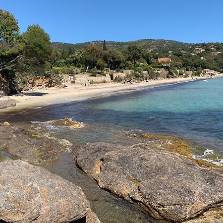 Appartement - Residence Le Paradou Le Le Rayol-Canadel-sur-Mer エクステリア 写真