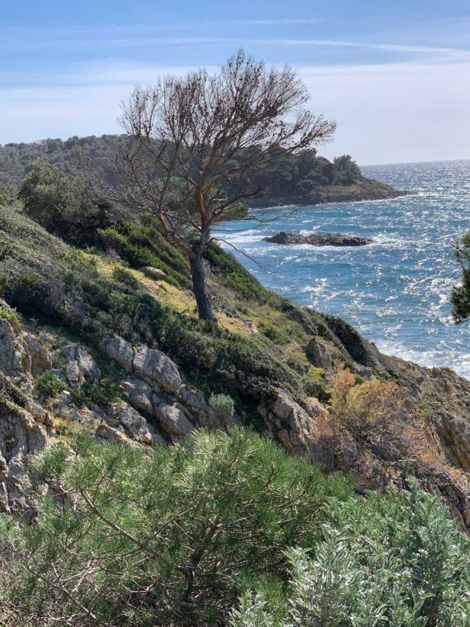 Appartement - Residence Le Paradou Le Le Rayol-Canadel-sur-Mer エクステリア 写真