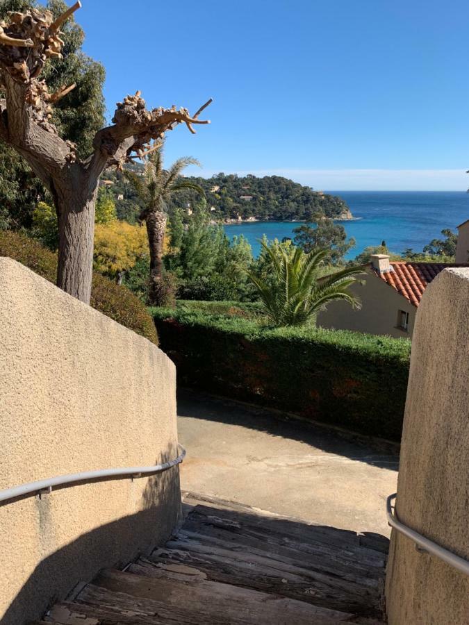 Appartement - Residence Le Paradou Le Le Rayol-Canadel-sur-Mer エクステリア 写真