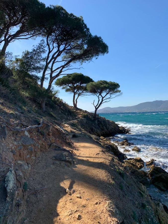 Appartement - Residence Le Paradou Le Le Rayol-Canadel-sur-Mer エクステリア 写真