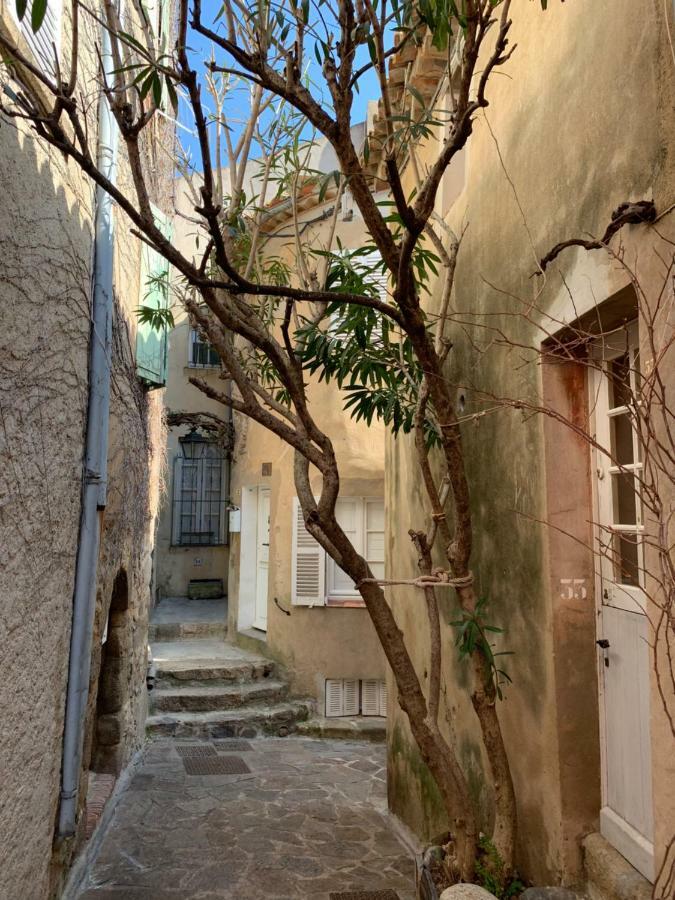 Appartement - Residence Le Paradou Le Le Rayol-Canadel-sur-Mer エクステリア 写真